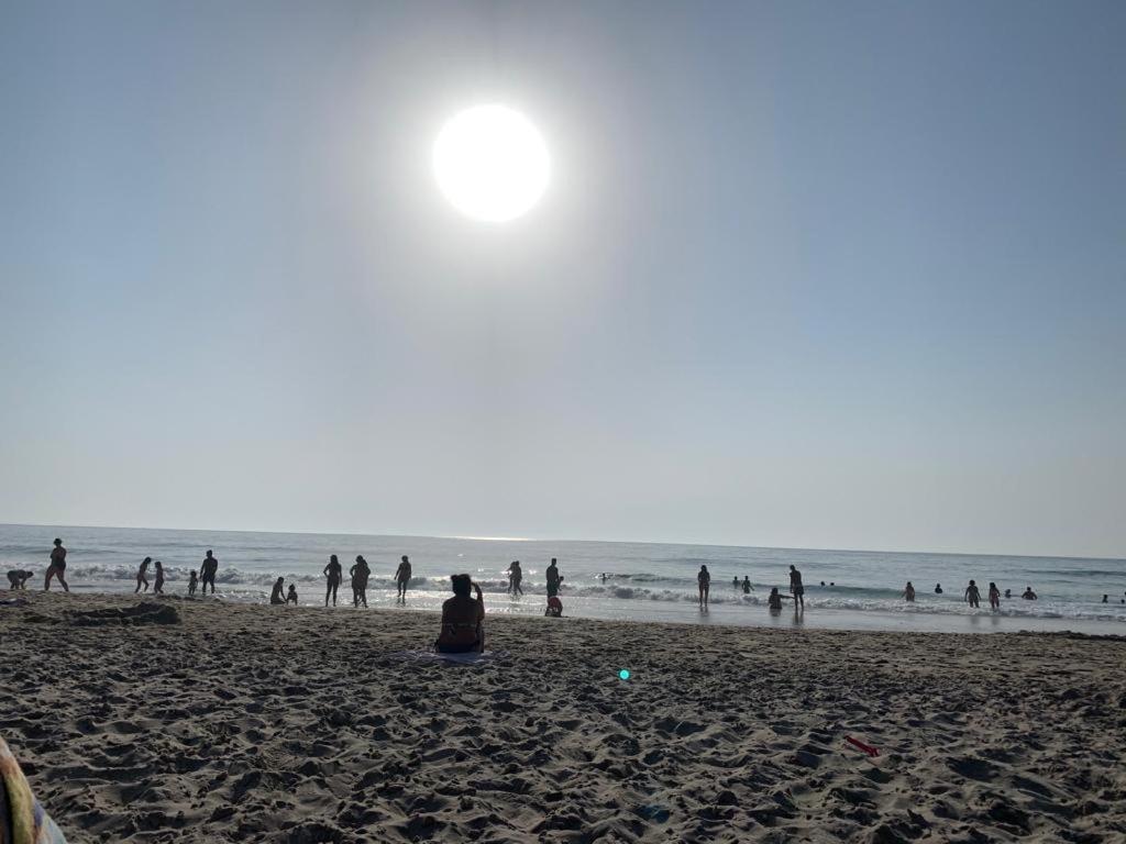O Cantinho Entre A Ria E O Mar - With Hot Water Pool All Year Round トレイラ エクステリア 写真